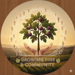 Thirteen - FigLab.png