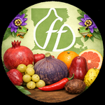 Thirty Five - Ghostfig.png