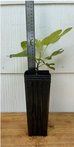 1771962757325.png 1771962757325.png