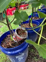 IMG_0165.jpeg IMG_0165.jpeg