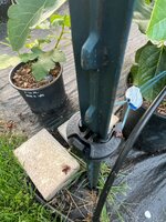 IMG_0360.jpeg