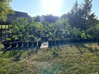 IMG_6180.jpeg