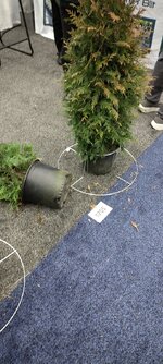 IMG_20260107_102142.jpg