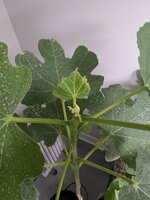 PXL_20260318_131304185.jpg