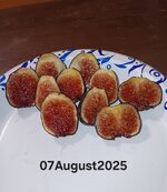 20250807_201959 (1)2.jpg