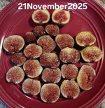 20251121_183320.jpg
