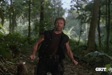 IMG_7541.gif