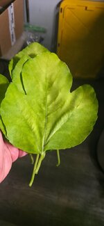 20260428_221444.jpg