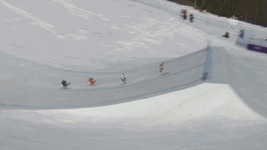 IMG_6550.gif