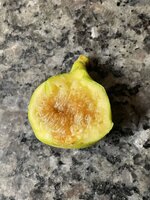 IMG_4688.jpeg