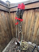 IMG_5560.jpeg