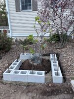 IMG_0990.jpeg