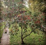 IMG_4497.jpeg