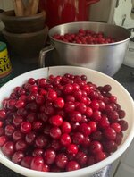 IMG_4499.jpeg