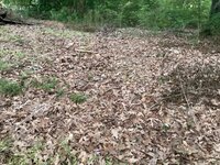 IMG_6493.jpeg