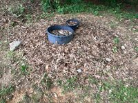 IMG_6542.jpeg
