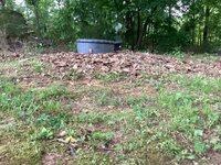 IMG_6543.jpeg