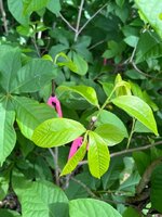 IMG_3529.jpeg