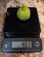 1000020285.jpg