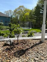 IMG_1071.jpeg