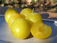 IMG_9311.jpeg