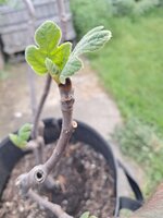 20260518_185141.jpg