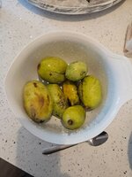 20240907_181413.jpg