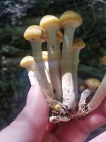20190907_105649.jpg