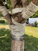 IMG_3010.jpeg