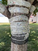 IMG_3011.jpeg
