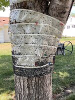 IMG_3012.jpeg