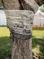 IMG_3013.jpeg
