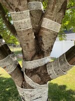 IMG_3014.jpeg