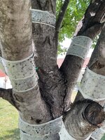 IMG_3015.jpeg