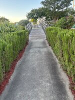 IMG_4539.jpeg