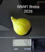 PXL_20260521_181631546~3.jpg