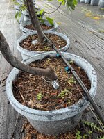 IMG_7309.jpeg
