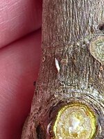 20260522_124030.jpg