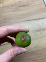 IMG_4811.JPEG