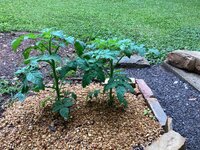 IMG_7164.jpeg