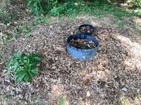 IMG_7122.jpeg