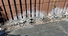 IMG_2653.jpeg