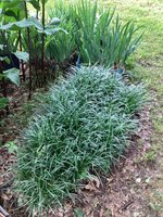 IMG_7538.jpeg