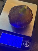 IMG_7463.jpeg