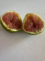 IMG_0487.jpeg