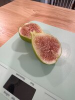 IMG_0472.jpeg