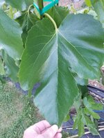 20260602_173509.jpg