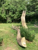 IMG_6975.jpeg