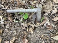 IMG_0160.jpeg