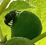 20260606_113117.jpg